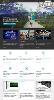 优秀网页设计案例赏析 —— 聚焦“海淘科技”品牌第7页示例
